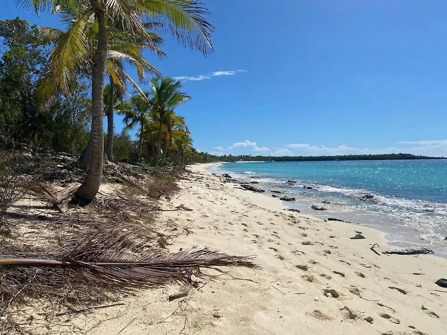 Xarraca Διαμέρισμα Bayahibe